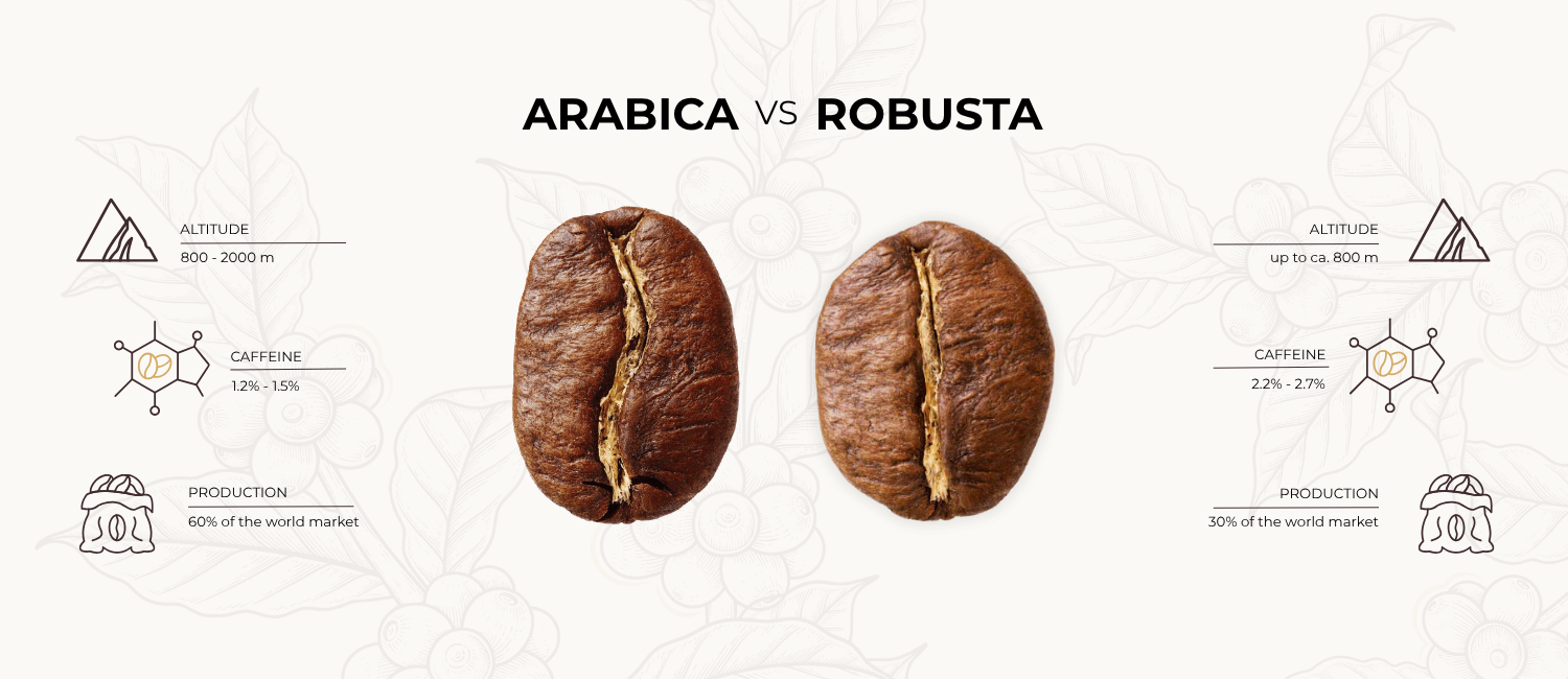 A side-by-side visual comparison of Arabica and Robusta coffee beans. On the left, an oval-shaped Arabica bean with a curved center crease; on the right, a rounder, smaller Robusta bean with a straight center crease. Text overlays highlight differences in flavor, caffeine content, and growing altitude