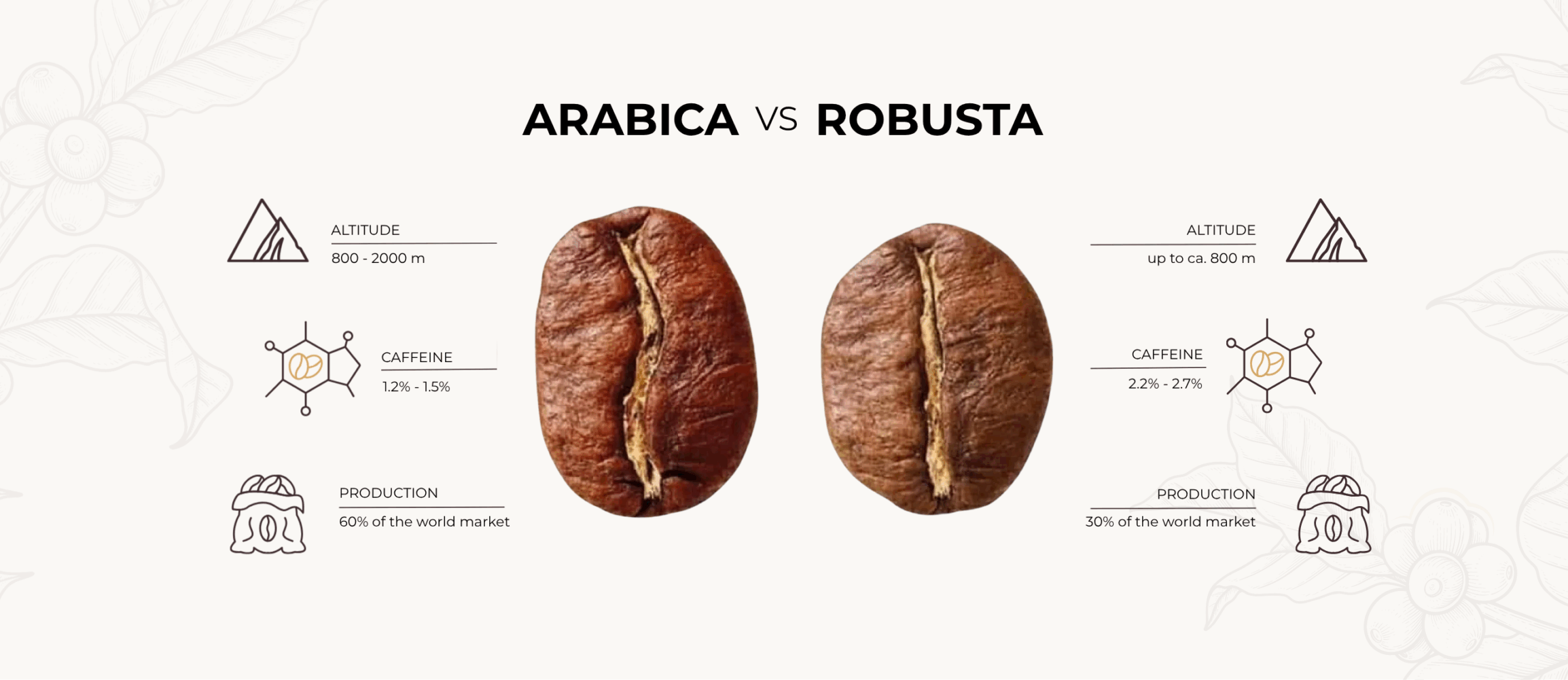 Arabica vs Robusta