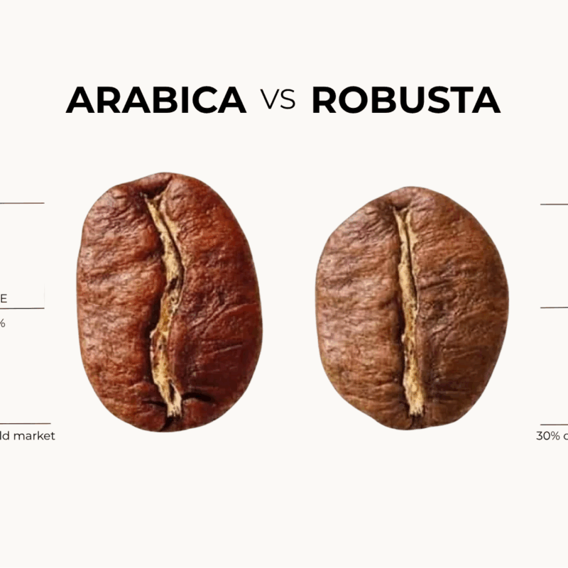 Arabica vs Robusta