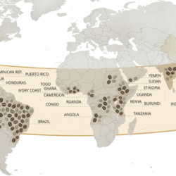 A world map highlighting the Coffee Belt, a horizontal band between the Tropics of Cancer and Capricorn where coffee is primarily grown, covering regions in Central and South America, Africa, and Southeast Asia.