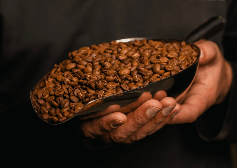 Close-up of roasted coffee beans in a scoop, illustrating the uniform appearance of a Zenoffé single origin or the complexity of a curated blend.