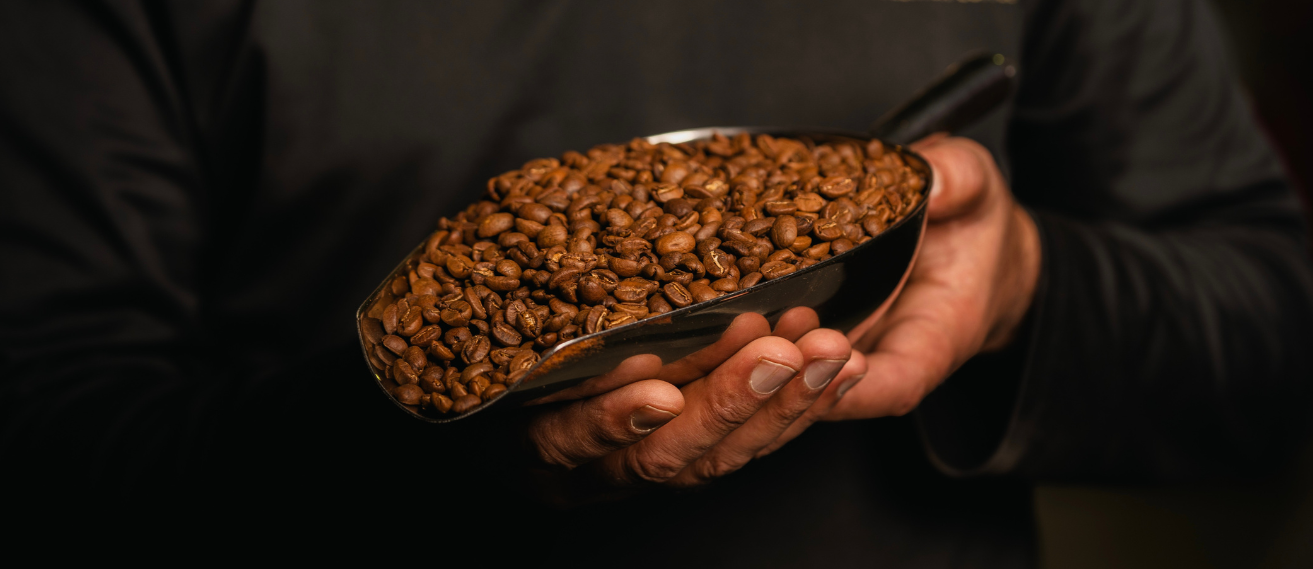 Close-up of roasted coffee beans in a scoop, illustrating the uniform appearance of a Zenoffé single origin or the complexity of a curated blend.