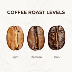 Coffee roast levels: Light, Medium, Dark