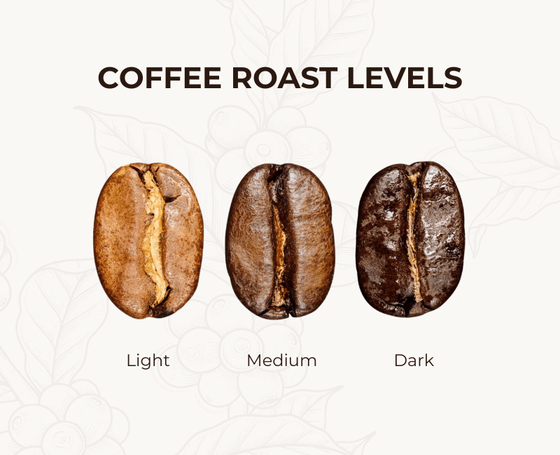 Coffee roast levels: Light, Medium, Dark